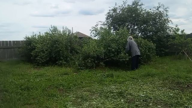 Онуфриево. Продолжение обустройства.