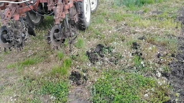 VID_20220601_162508.mp4