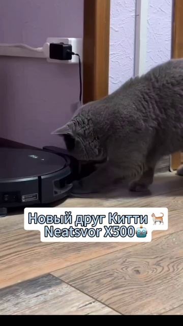 1000122227.mp4