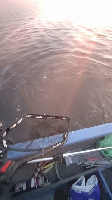 ПОЙМАЛ КРОКОДИЛА #fishing #рыбалка #щука #рекомендации #music