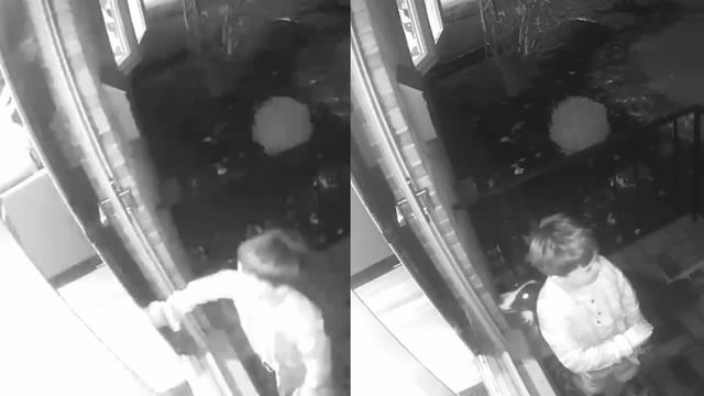 Самые смешные видео с ЖИВОТНЫМИ на CCTV, которые заставят Вас Смеяться до слез