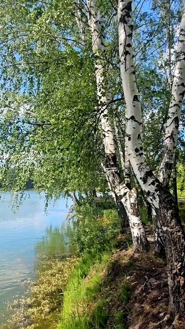 Красивые места Ярославской области