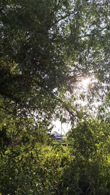 Летнее настроение🌞