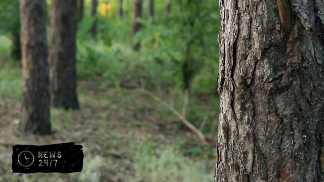 Мужчина устроил погром в торговом центре в Москве