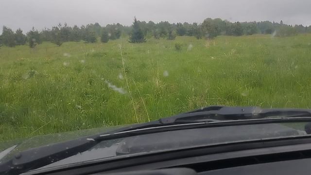 по полям на ниве