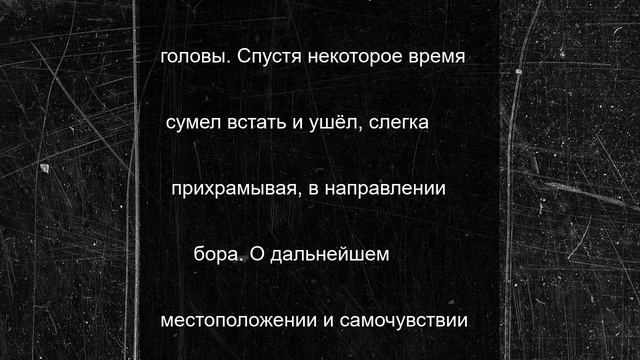 Лось оказался в канаве после аварии в Кемерове