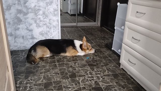 Кто там? А ну-ка отошли от нашей двери! Шумят там, я всё слышу ррафф