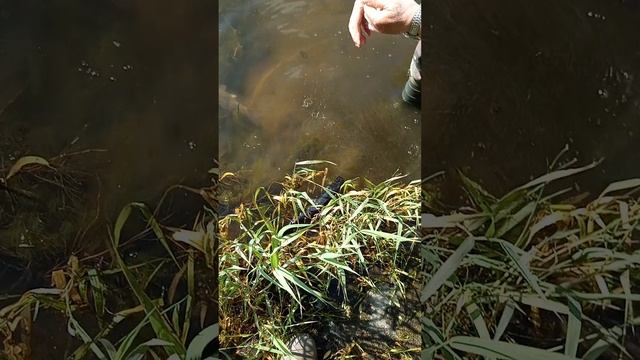 1000020801.mp4