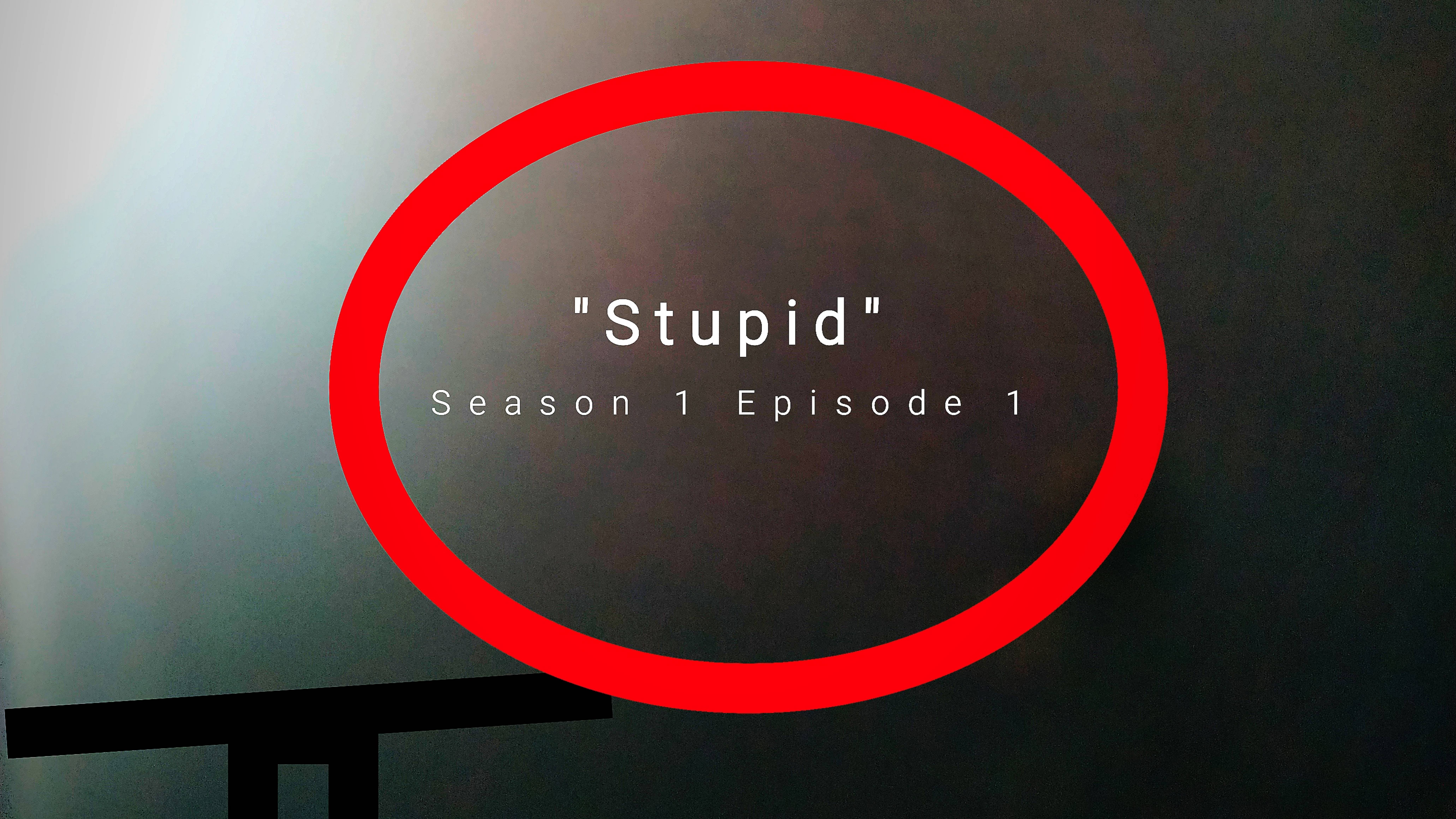 TV series "stupid" season 1 episode 1