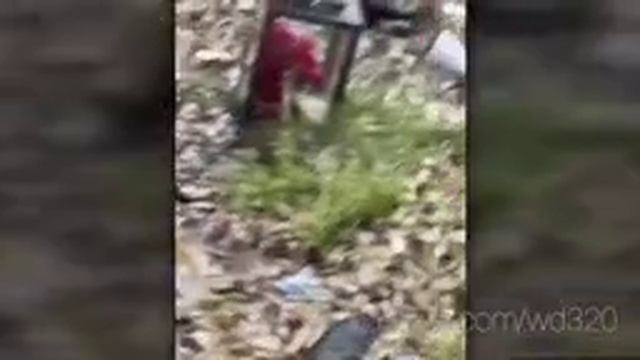 Bastyon.mp4