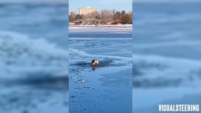 приколы