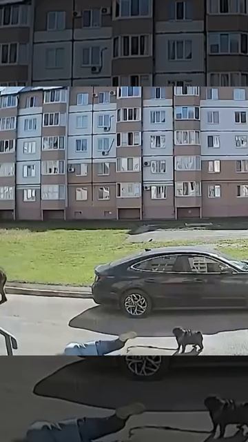 Выпьем за лося, чтобы все удалось:)))