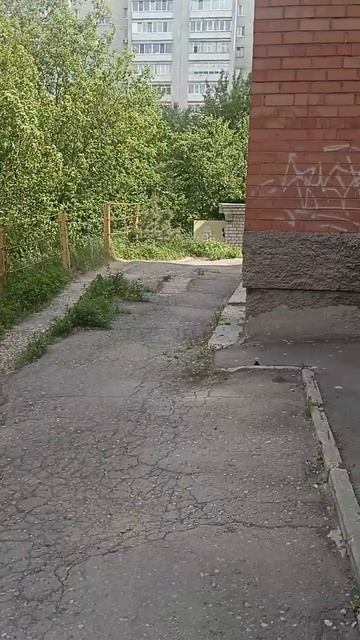 Сколько Заработал за 5 километров?
