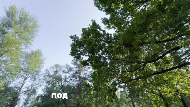Чем заняться на пляже "Капибара"? Ивановский залив, г. Ульяновск
