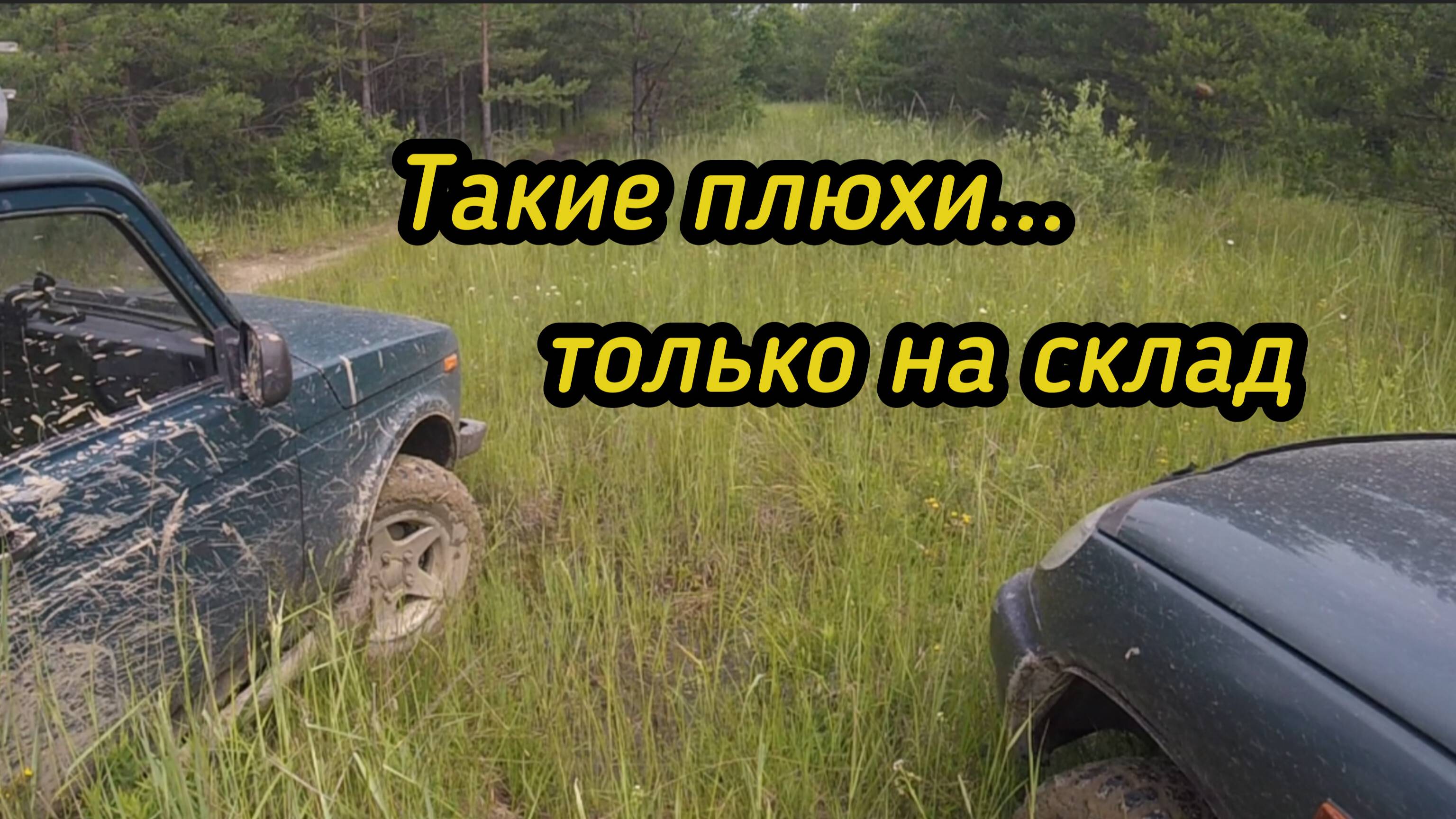 ТАКОЙ МЕТАЛЛ только в копилку!