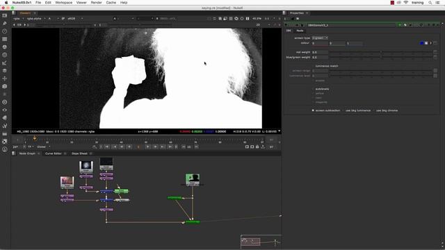 11 Advanced VFX Compositing with Nuke - Green Screen Keying_11 (1)