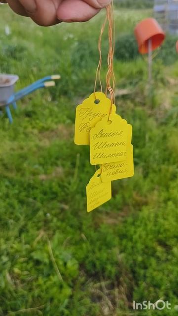 15.06.25 или огород затопило