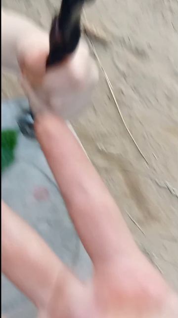 ШОК!