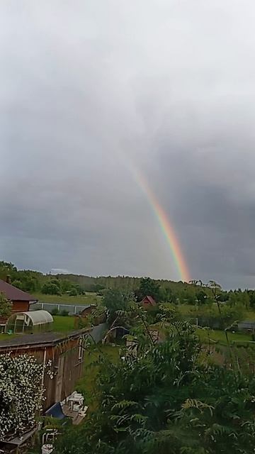 радуга
