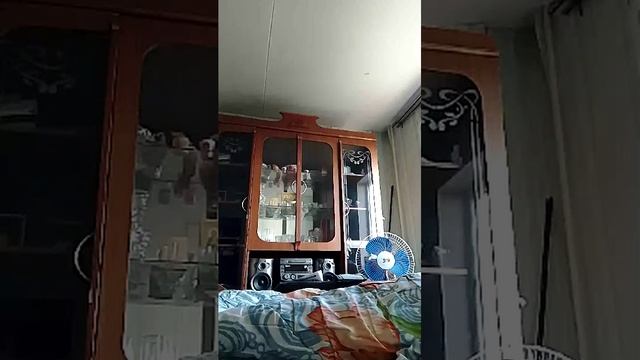 секс вечерний.
