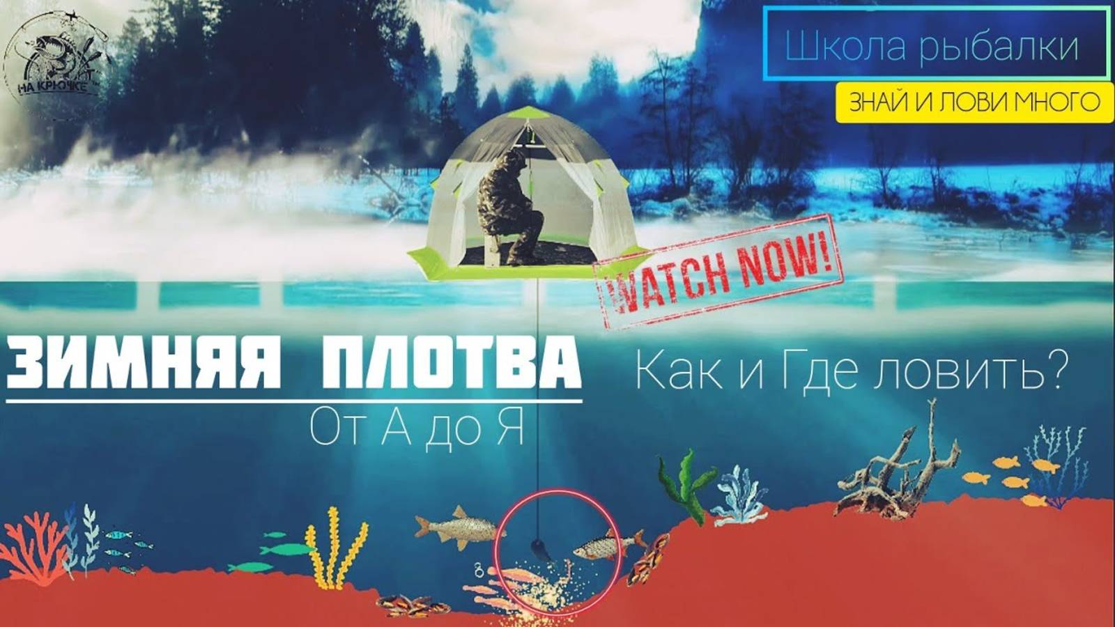 ПЛОТВА ЗИМОЙ. ГДЕ И КАК ЛОВИТЬ ЗНАЙ И ЛОВИ МНОГО!
