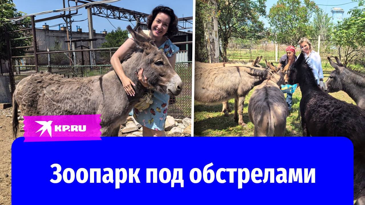 Как жители Горловки под обстрелами спасают животных