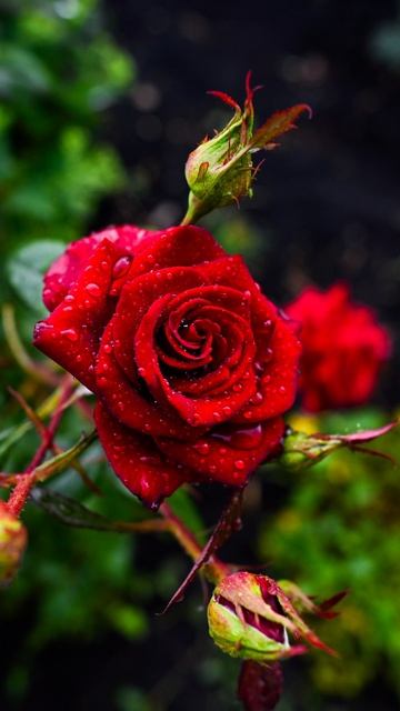 Фото