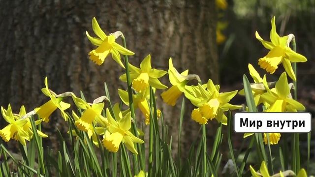 ЧАСТОТА 1111 ГЦ | Божественный Поток Энергии для Мгновенного Исцеления и Пробуждения