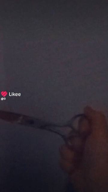 1000028063.mp4