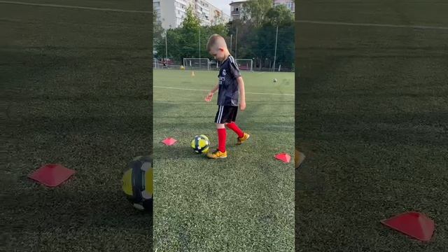 Петровский Марк