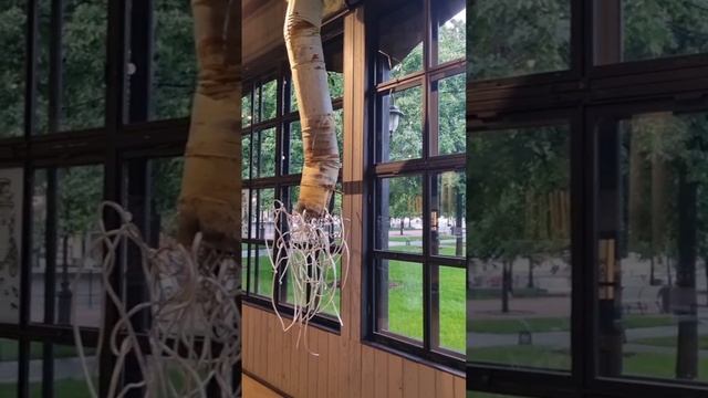 Сейчас в Новой Голландии проходит Выставка «Между ПУХТО и Эрмитажем»