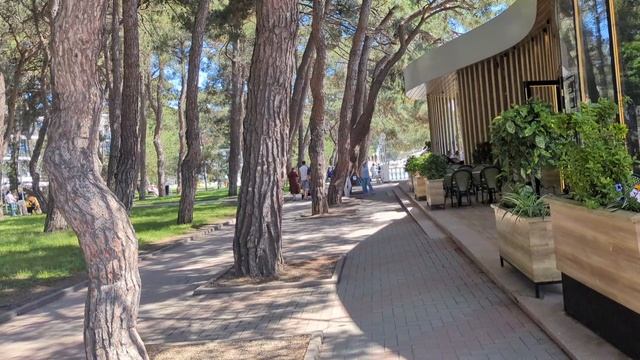 Геленджик 24 июня 2025 г. От пляжа Красная Талка до Центральной площади.mp4