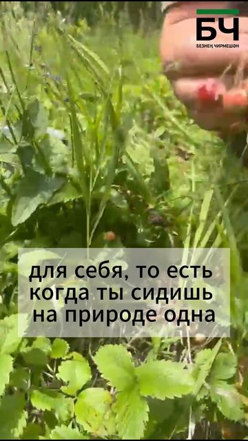 Вера Давлетшина за 30 минут собирает ведро ягод