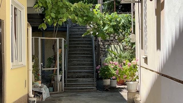 Ялта. Архивная улица, от Гоголя до Володарского ул. 20.06.2025. Крым. Crimra. Yalta.