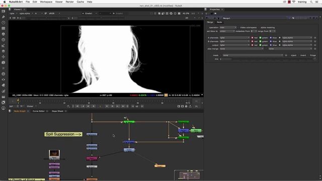 6  Advanced VFX Compositing with Nuke - Green Screen Keying_6