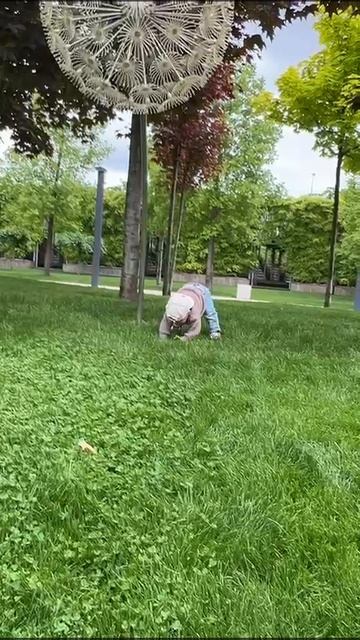 VID-20250512-WA0025