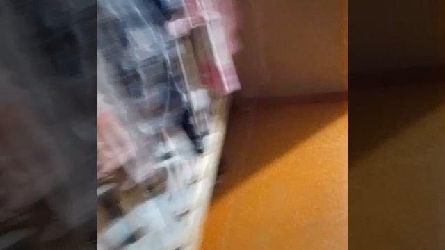 распаковка 📦 желейного пса