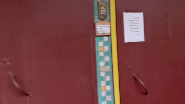 Рушим домино / Сходили к логопеду / Заморозка моркови / Готовим шаверму / Игрища двух джек расселов