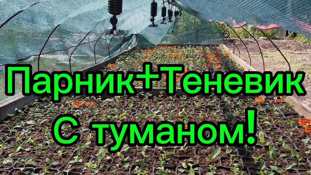 🌲🌿Бюджетный Парник+Теневик с поливом,туманом своими руками!🌿🌲