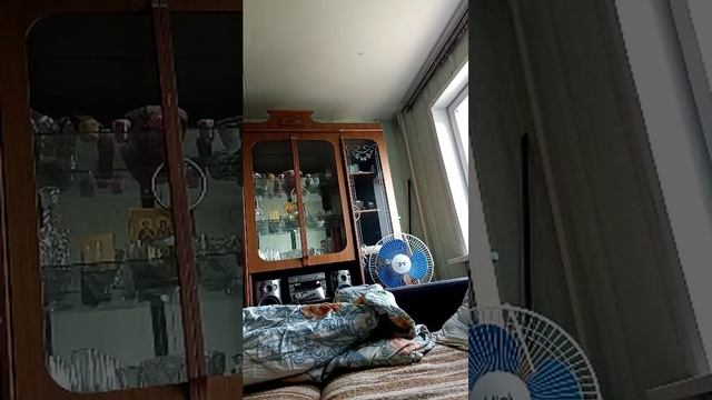 упругие сиськи 18+