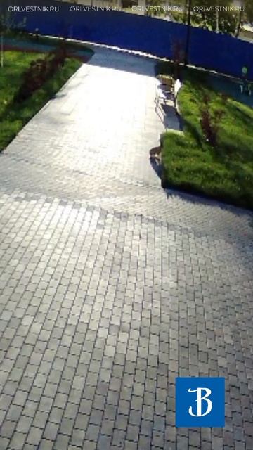Болховский микрорайон действительно близок к природе
