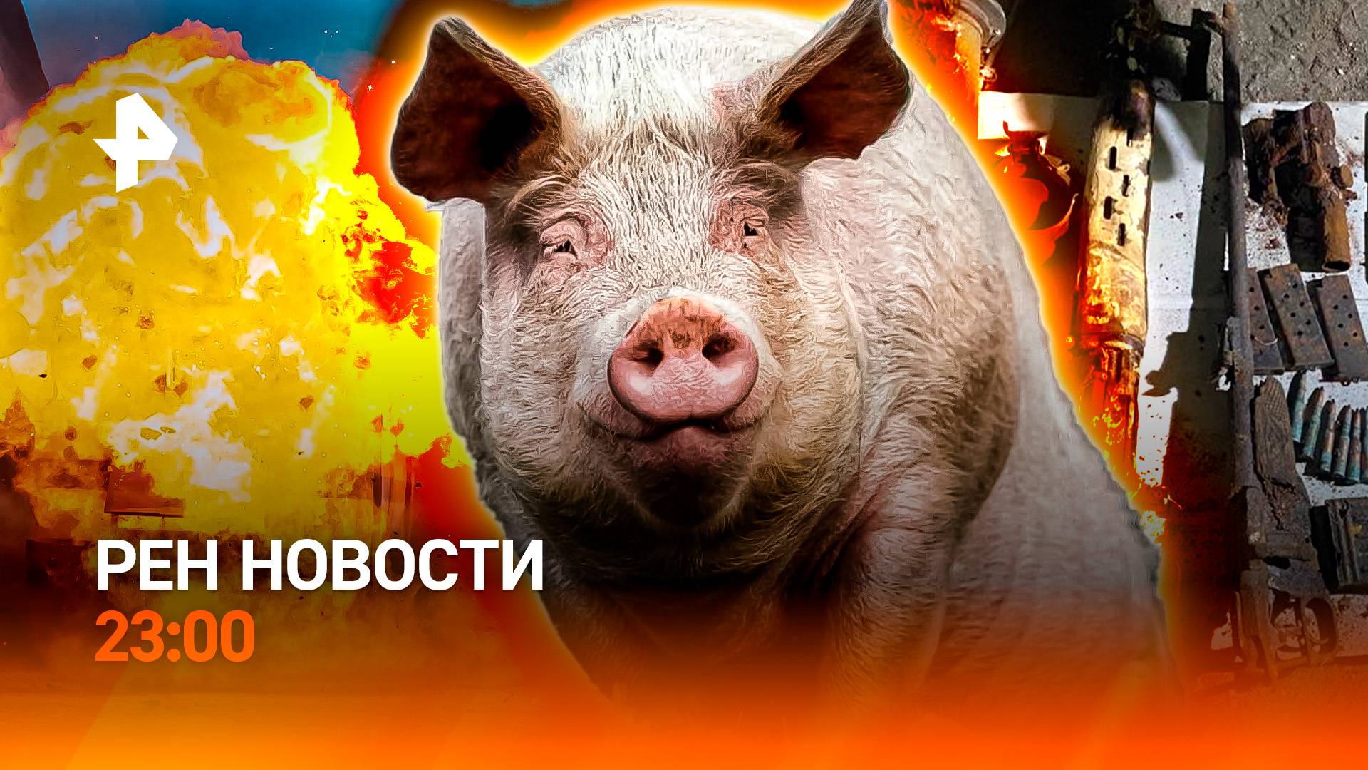 Иран и Израиль сложили оружие / Оружейный схрон / Свиньи захватили город / РЕН Новости 23:00, 24.06.