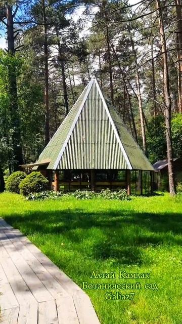 Алтай Камлак Ботанический сад