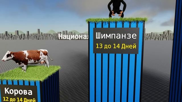Как долго могут выживать животные без еды_ — Это поражает!