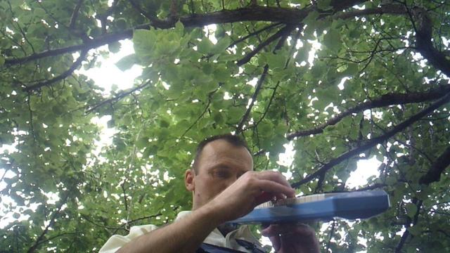 В перерыве на работе в саду - мелодион: "Жили у бабуси"