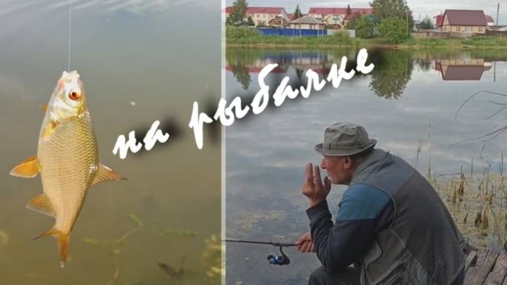 На рыбалке #михалычдачник