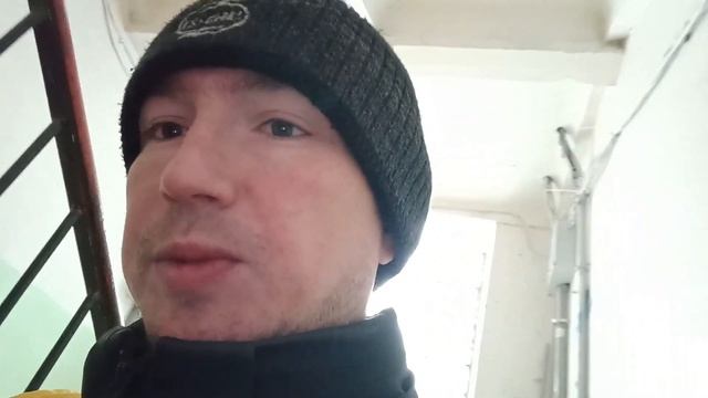 Полная Свобода Действий Работа Курьером в Приложении Dostavista Самозанятым Сколько Заработал?