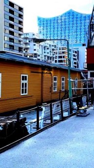 Лучшие моменты на камеру