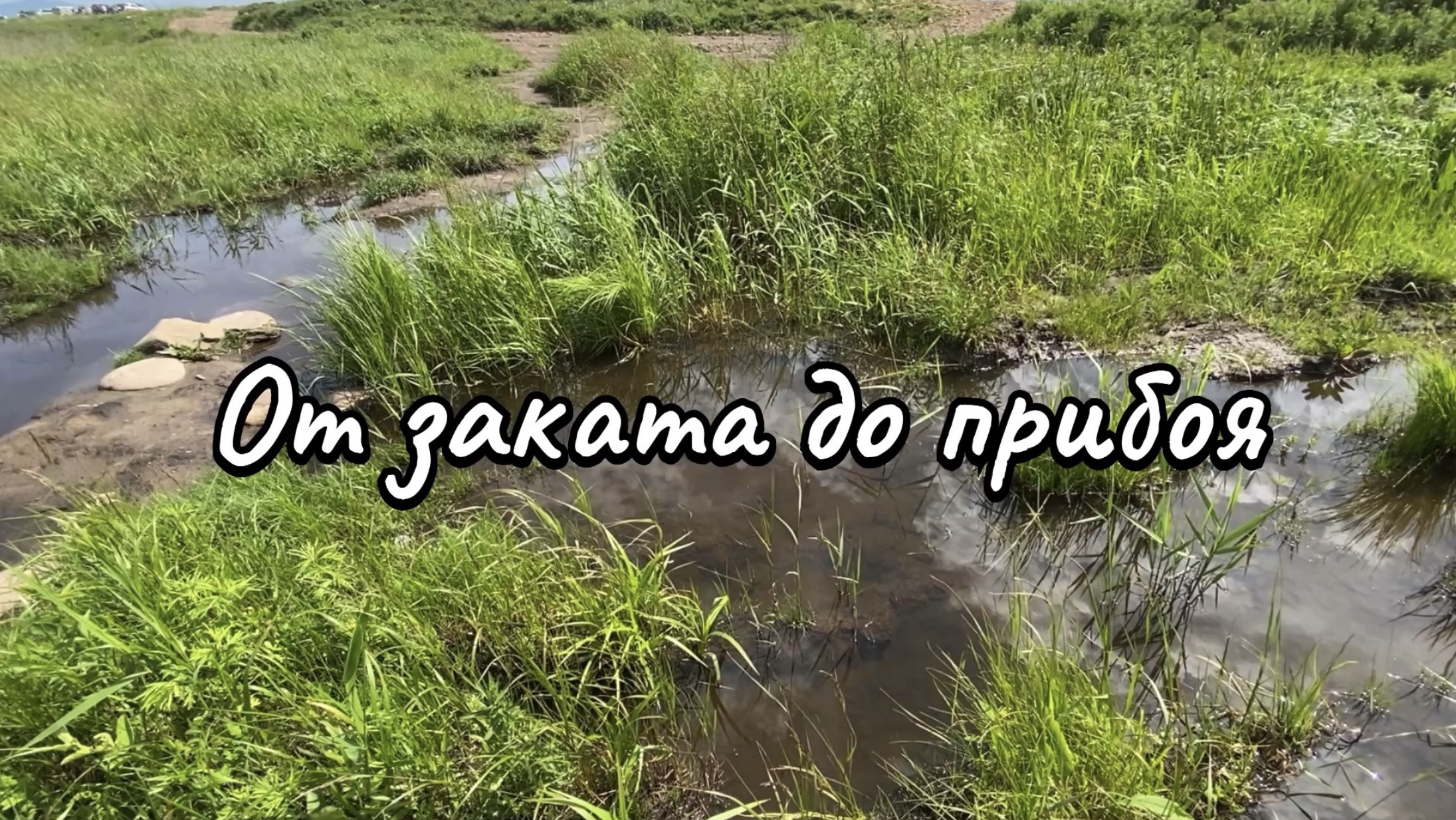 Влог. Эпизодики из моей жизни. Конец весны, начало лета. 24 июня 2025 г.