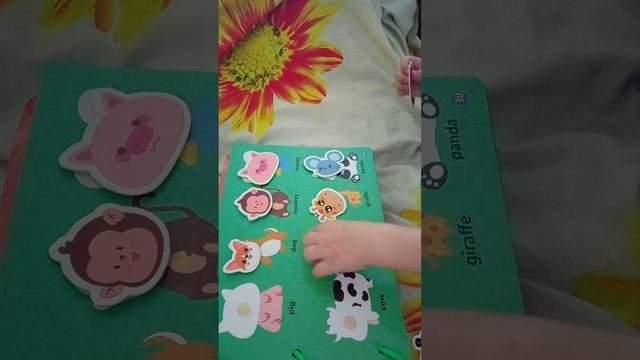 VID_20230822_142846.mp4